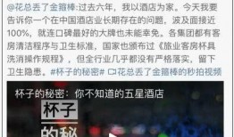 酒店视频爆料论坛怎么写,揭秘行业背后真相