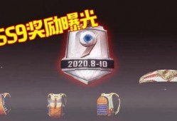 最新爆料ss9赛季,揭秘新赛季亮点与变革，战队布局与战术解析